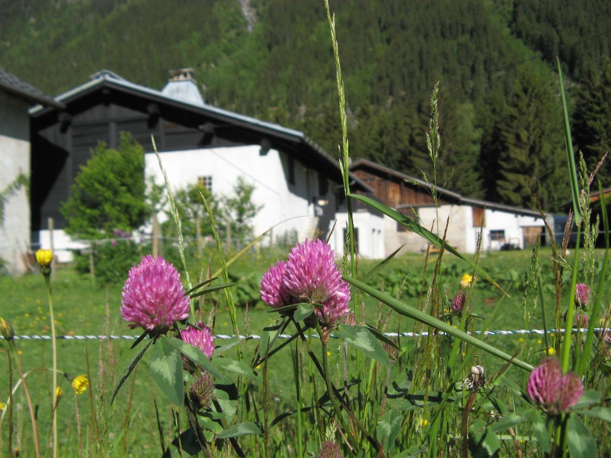 Gite Nouveau Grassonnet Chamonix Exteriör bild